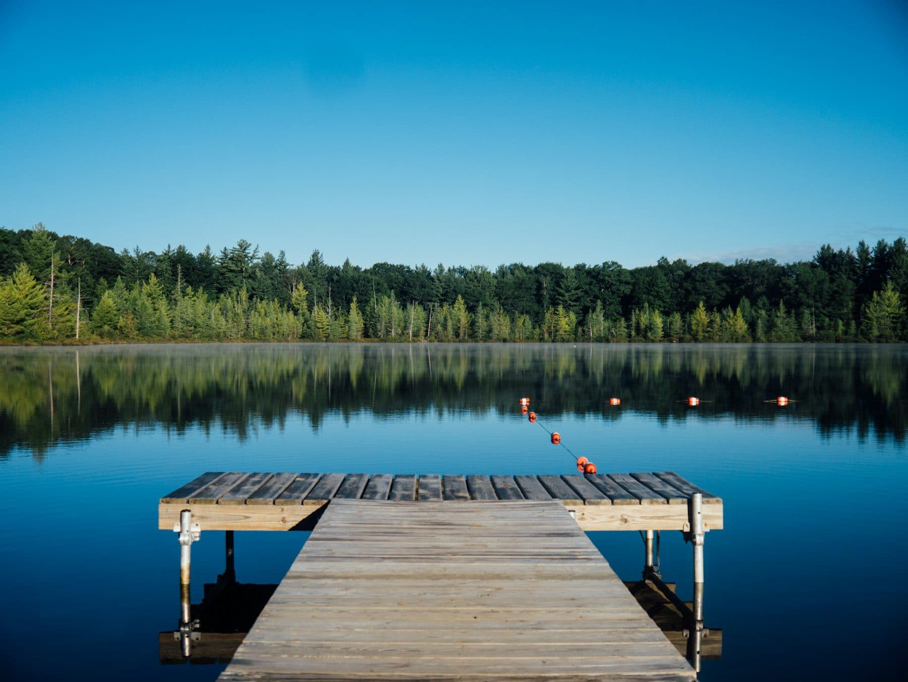 A wooden jetty over a still lake surrounded by trees