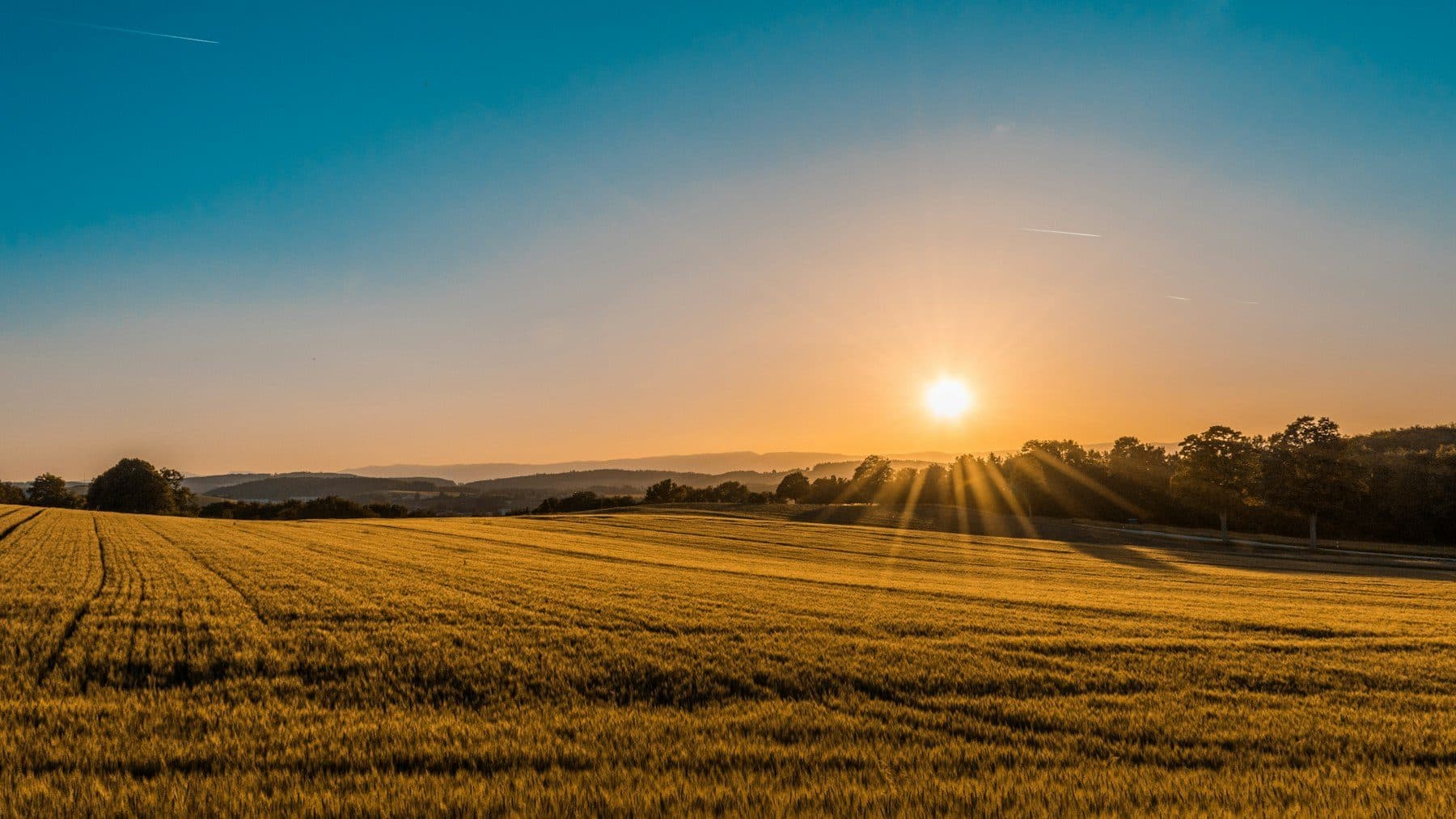 Golden fields and rolling countryside at sunset