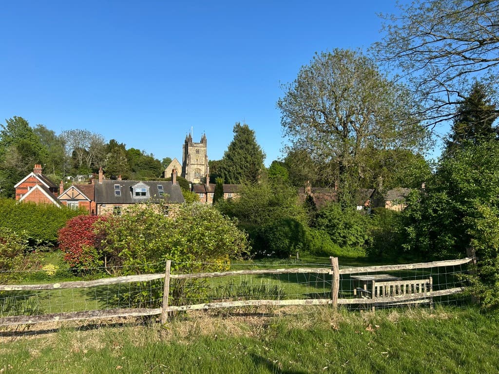 Bolney village from the fields — church tower of St Mary Magdalene above the trees